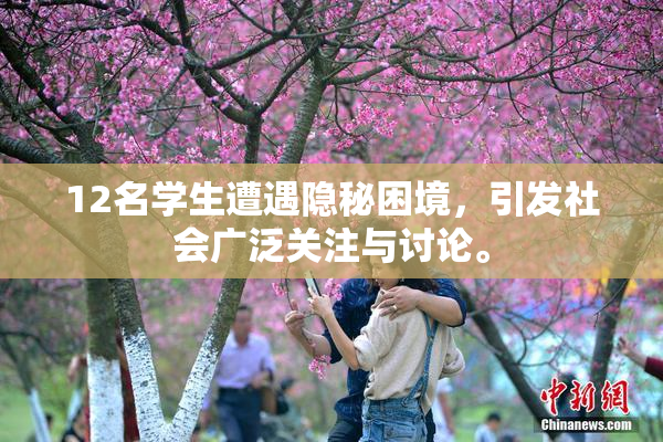 12名学生遭遇隐秘困境，引发社会广泛关注与讨论。
