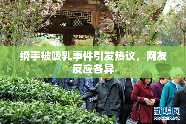 纲手被吸乳事件引发热议，网友反应各异
