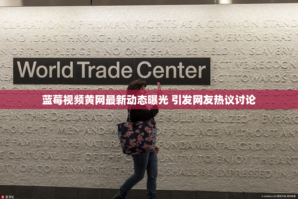 蓝莓视频黄网最新动态曝光 引发网友热议讨论