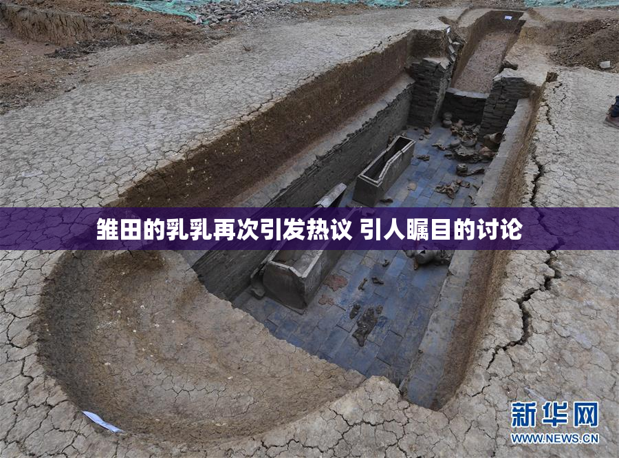雏田的乳乳再次引发热议 引人瞩目的讨论