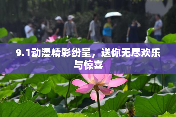 9.1动漫精彩纷呈，送你无尽欢乐与惊喜