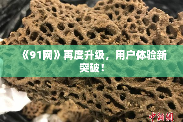 《91网》再度升级，用户体验新突破！