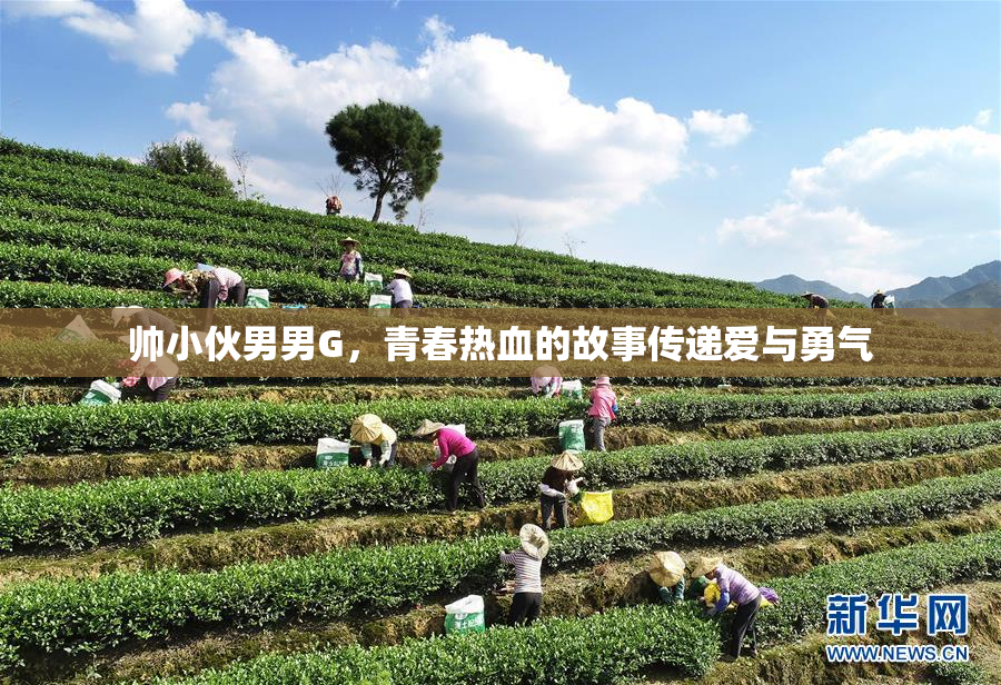 帅小伙男男G，青春热血的故事传递爱与勇气