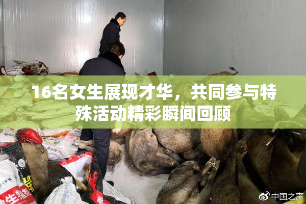 16名女生展现才华，共同参与特殊活动精彩瞬间回顾