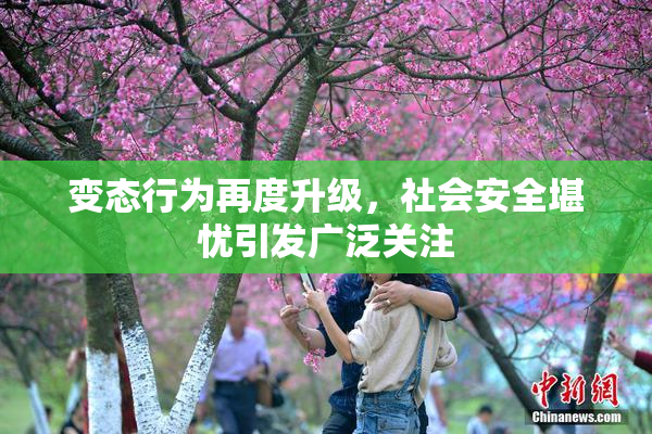 变态行为再度升级，社会安全堪忧引发广泛关注