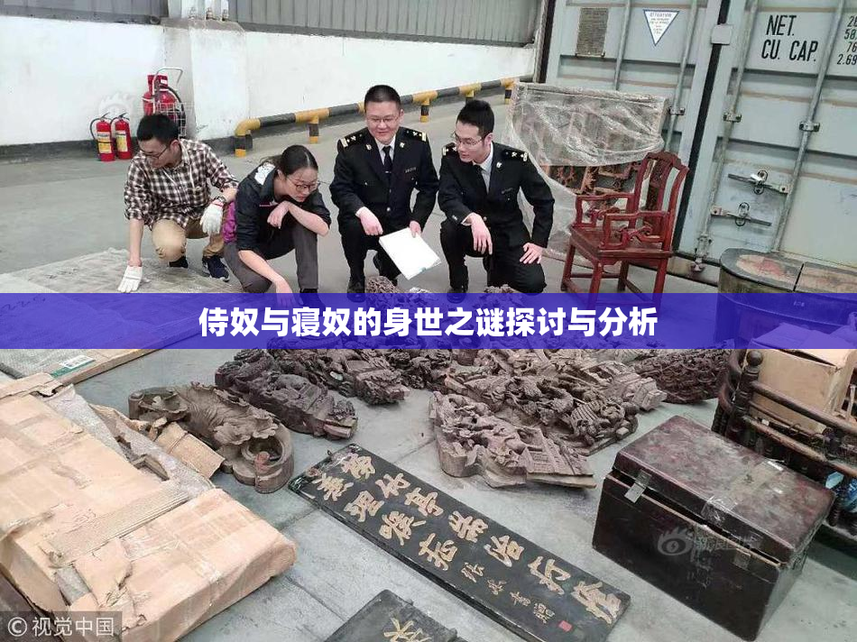 侍奴与寝奴的身世之谜探讨与分析