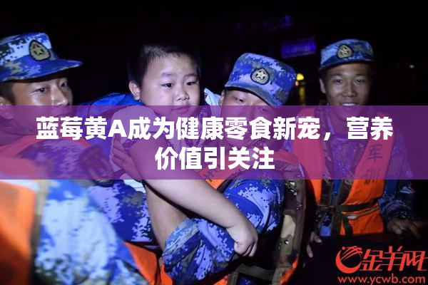 蓝莓黄A成为健康零食新宠，营养价值引关注
