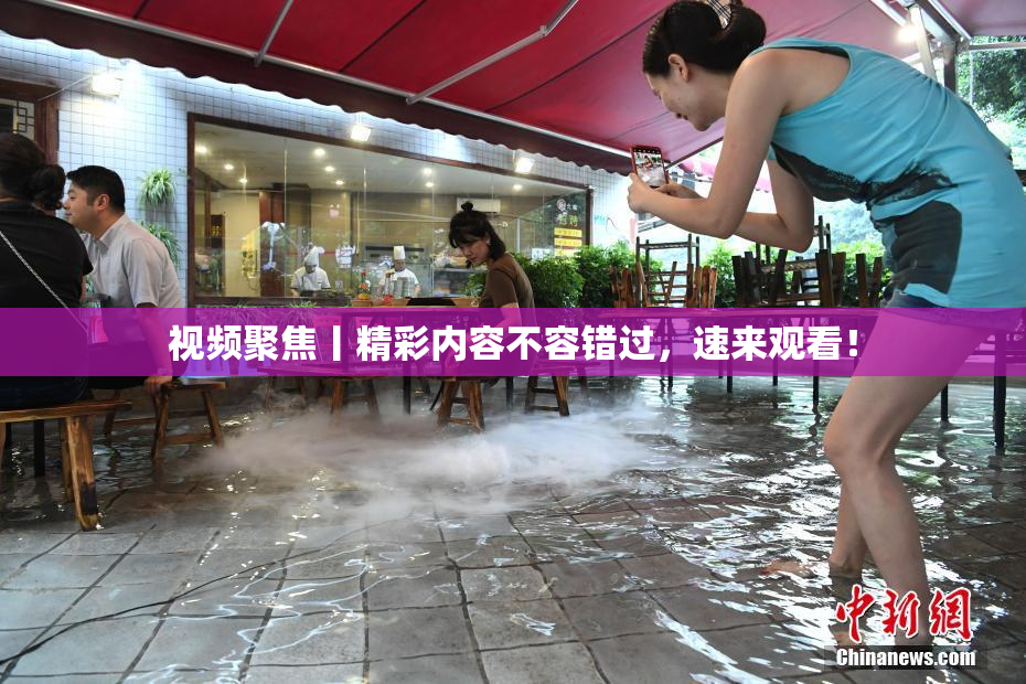 视频聚焦丨精彩内容不容错过，速来观看！