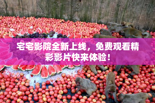 宅宅影院全新上线，免费观看精彩影片快来体验！
