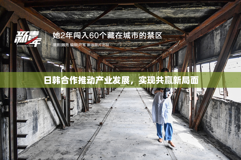 日韩合作推动产业发展，实现共赢新局面