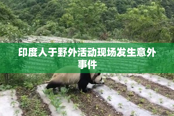 印度人于野外活动现场发生意外事件