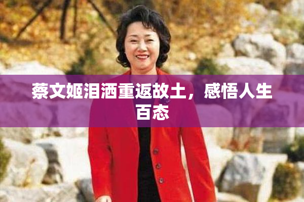 蔡文姬泪洒重返故土，感悟人生百态