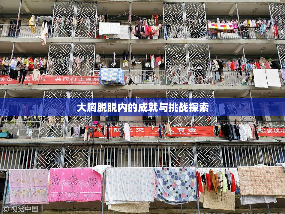 大胸脱脱内的成就与挑战探索