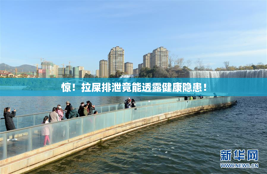 惊！拉屎排泄竟能透露健康隐患！