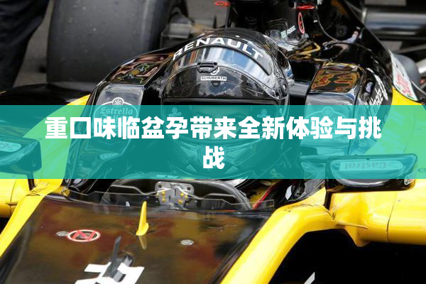 重囗味临盆孕带来全新体验与挑战