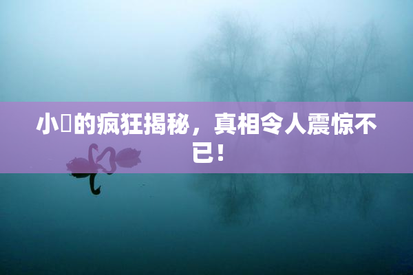 小泬的疯狂揭秘，真相令人震惊不已！