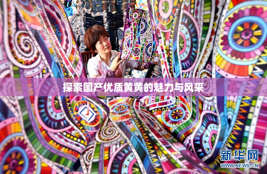 探索国产优质黄黄的魅力与风采