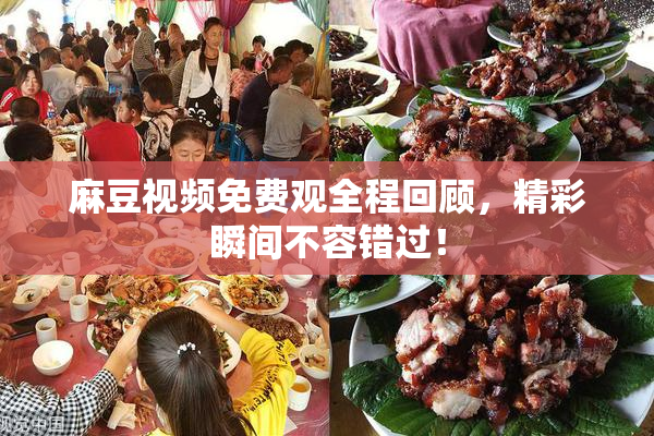 麻豆视频免费观全程回顾，精彩瞬间不容错过！