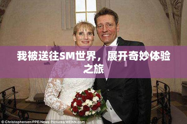 我被送往SM世界，展开奇妙体验之旅