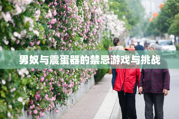 男奴与震蛋器的禁忌游戏与挑战
