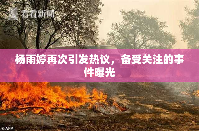 杨雨婷再次引发热议，备受关注的事件曝光