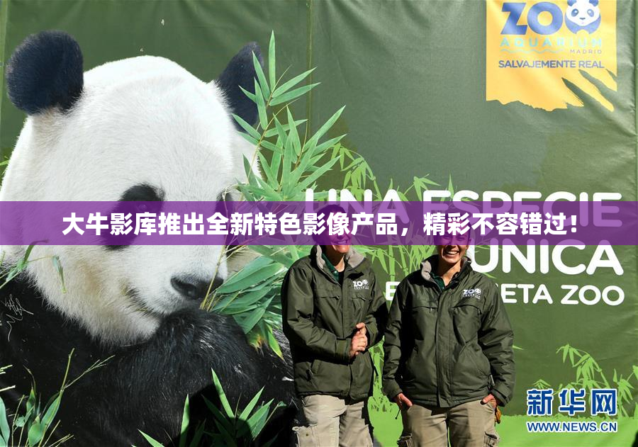 大牛影库推出全新特色影像产品，精彩不容错过！