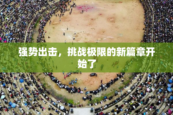 强势出击，挑战极限的新篇章开始了