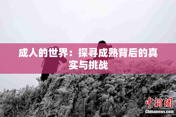 成人的世界：探寻成熟背后的真实与挑战