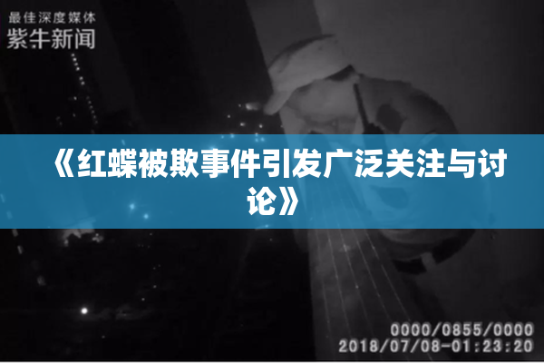 《红蝶被欺事件引发广泛关注与讨论》