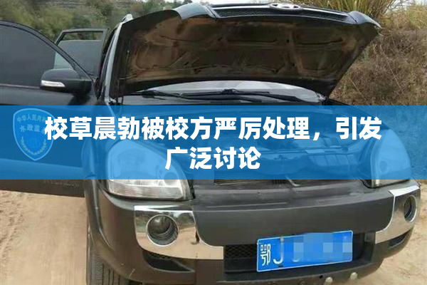 校草晨勃被校方严厉处理，引发广泛讨论