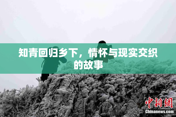 知青回归乡下，情怀与现实交织的故事