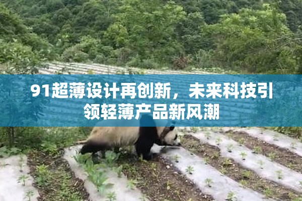 91超薄设计再创新，未来科技引领轻薄产品新风潮