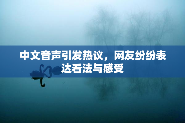 中文音声引发热议，网友纷纷表达看法与感受