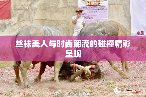 丝袜美人与时尚潮流的碰撞精彩呈现