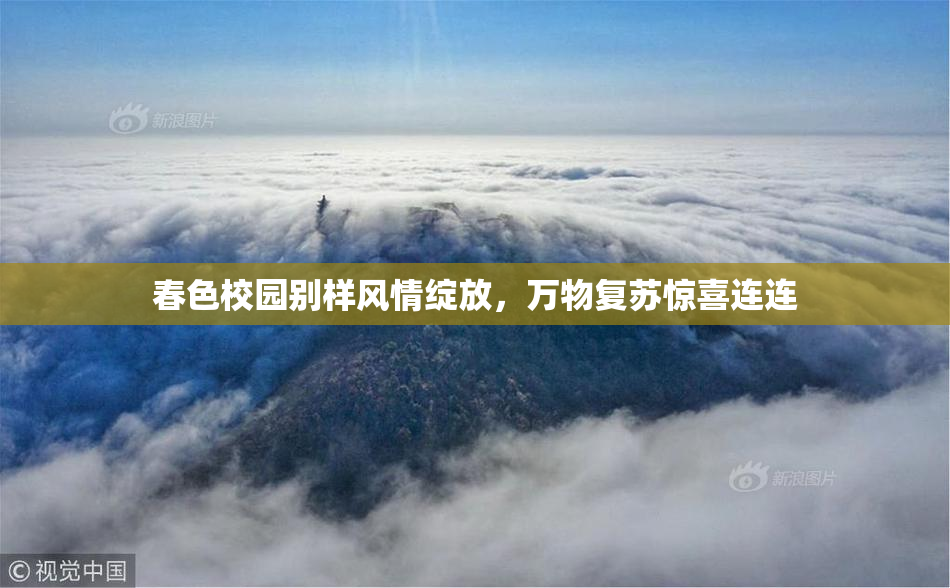 春色校园别样风情绽放，万物复苏惊喜连连
