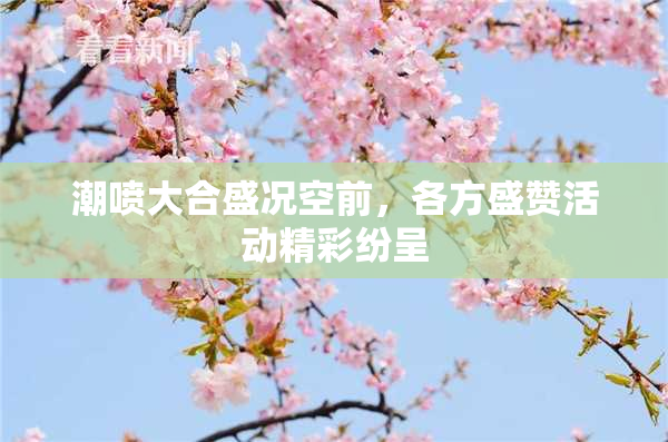 潮喷大合盛况空前，各方盛赞活动精彩纷呈