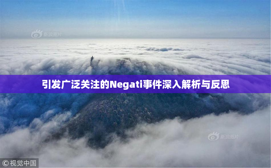 引发广泛关注的Negati事件深入解析与反思