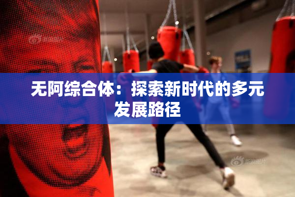 无阿综合体：探索新时代的多元发展路径
