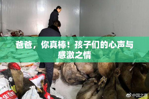 爸爸，你真棒！孩子们的心声与感激之情