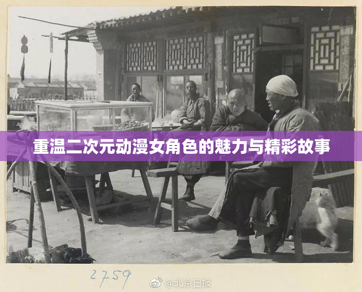 重温二次元动漫女角色的魅力与精彩故事