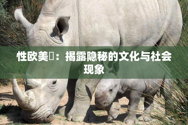 性欧美婬：揭露隐秘的文化与社会现象