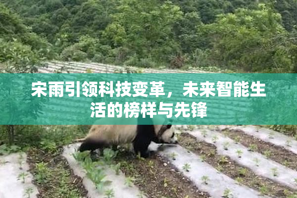 宋雨引领科技变革，未来智能生活的榜样与先锋