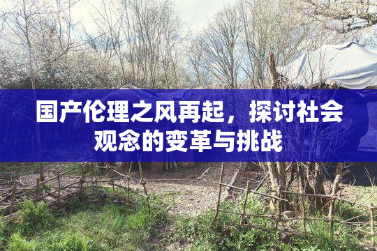 国产伦理之风再起，探讨社会观念的变革与挑战