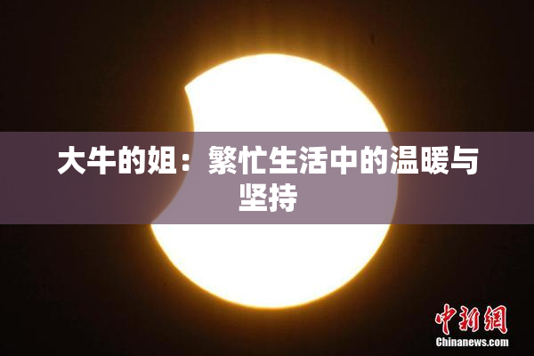 大牛的姐：繁忙生活中的温暖与坚持