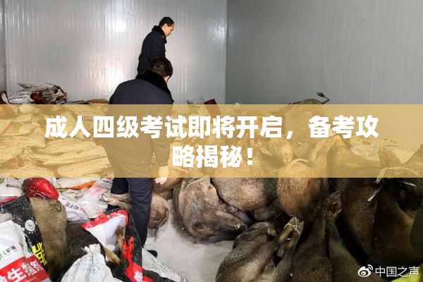 成人四级考试即将开启，备考攻略揭秘！