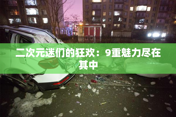 二次元迷们的狂欢：9重魅力尽在其中