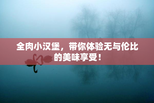 全肉小汉堡，带你体验无与伦比的美味享受！