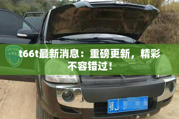t66t最新消息：重磅更新，精彩不容错过！