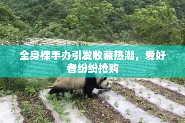 全身棵手办引发收藏热潮，爱好者纷纷抢购