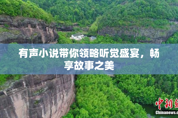 有声小说带你领略听觉盛宴，畅享故事之美